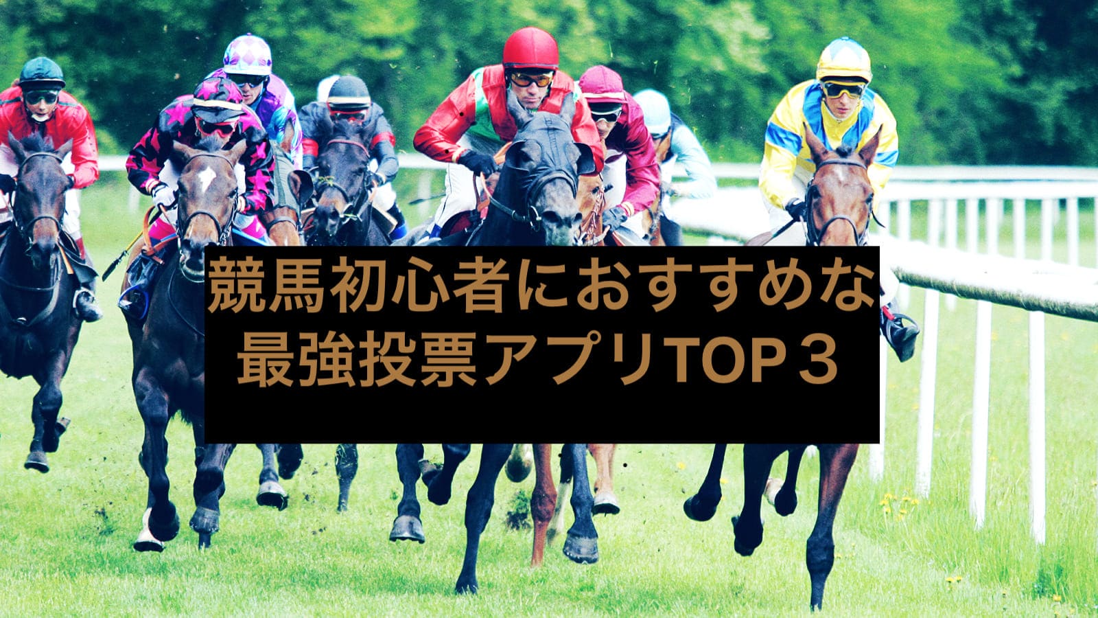 初心者競馬楽しみ方4
